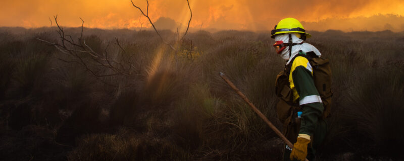 Global Wildfire Solutions - International Wildfire Alliance